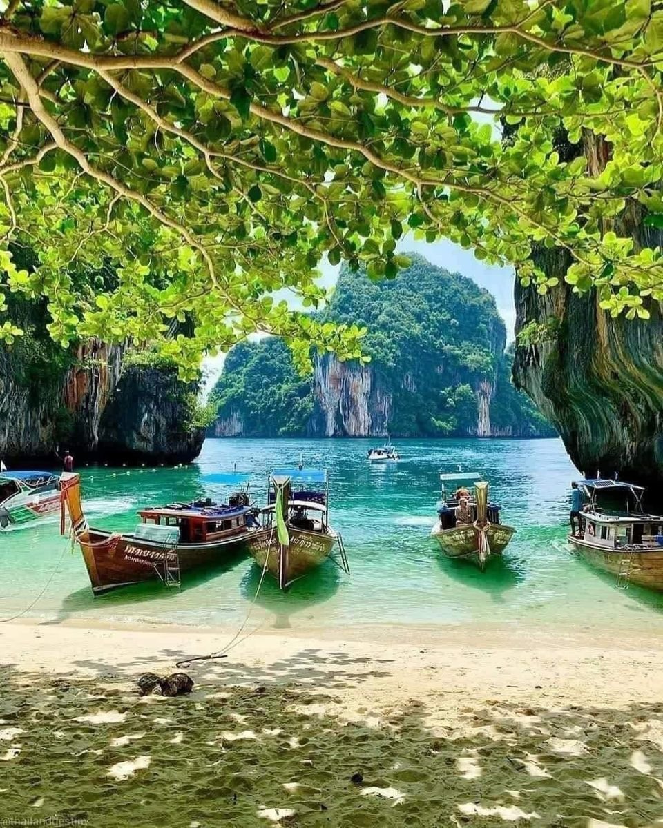 Phi Phi Island tour