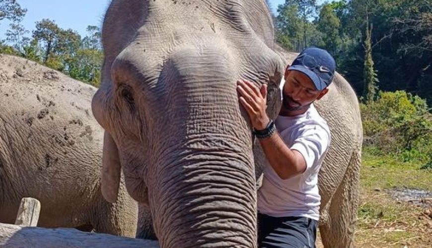 Elephant Encounters Ethical Wildlife Tourism In Chiang Mai